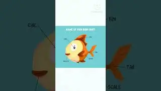 Name of fish body part #bodypart #fish