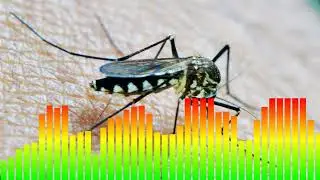 Anti mosquito and midge repellent | Sound that kills mosquitoes and midges | Get rid of insects |