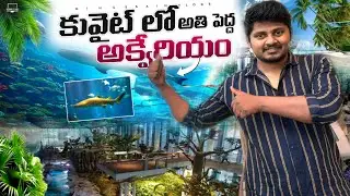 Kuwait Biggest Aquarium Tour 🐠  | Kakanis Vlogs  #vivia #viralvideo #aquarium #trending #vlog 