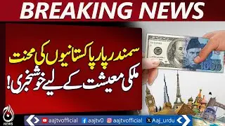 Overseas Pakistanis&rsquo; Efforts Boost National Economy - Pakistan News