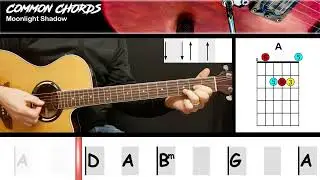 Moonlight Shadow (ver2) - Mike Oldfield | EASY GUITAR LESSON | Scrolling Chords & Lyrics