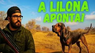 A Lilona Aponta e Nós Caça! 🐕💥 Só no Revolver no Parque Fernando | theHunter COTW