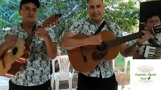 música de nuestros valles . con la orquesta internacional Águila Real 🦅🥳CL.62184759