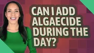 Can I add algaecide during the day?
