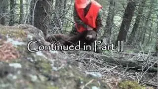 Bear Hunt Part 1
