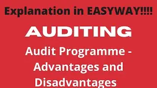 Audit Programme - Advantages and Disadvantages