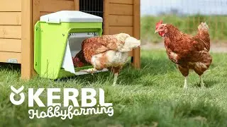 SmartCoop Futterautomat von KERBL Hobbyfarming