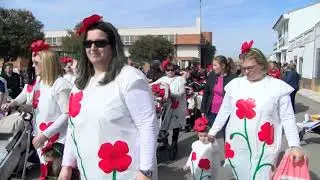 IMÁGENES DEL  PASACALLE DEL CARNAVAL 2019 DEL  COLEGIO DE ARROYO DE SAN SERVAN.