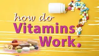 How do Vitamins Work