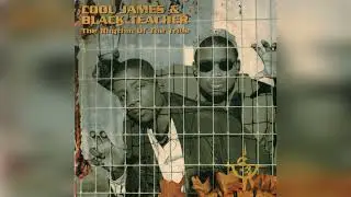 Cool James & Black Teacher - The Rhythm of the Tribe (Pierre J's Tribe Mix)