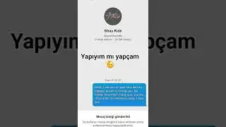 tutmaz ki stray kids e mesaj attım (ehe) #kesfeteyyiz #keşfetbeni&ouml;ne #kpop #ytdayibenionecikarnolur