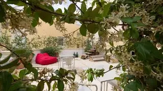 Palazzo De Noha, Lecce, Italy | Travel With Divya