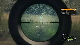 Lion hunting and best area for it!