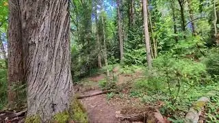 Priest Point (Squaxin) Olympia City Park Wrong Trail Oct 2025, 1080, 30