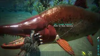 🐟⚔️ Coelacanth vs Sabertooth Salmon &ndash; A Batalha Subaqu&aacute;tica! 🌊🔥｜ARK: Survival Evolved