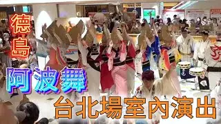 德島 阿波舞 台北場室內演出