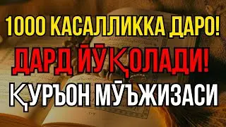 🌙Сирли Қуръон: 1000 касалликдан бир лаҳзада қутулинг!