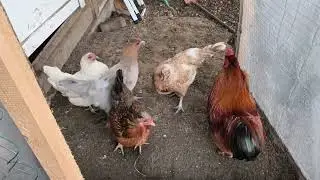 Решили отдохнуть 🤔, или рано пришла.
