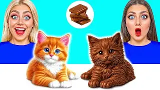 Real Food vs Chocolate Food Challenge | Awesome Kitchen Hacks by Funny DO Challenge