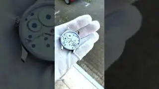 dekla marine roman