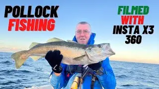pollock fishing  [uk boat fishing]