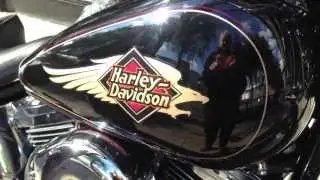 HARLEY-DAVIDSON 1996 SOFTAIL CUSTOM EVO @ West Coast Harley-Davidoson, Glasgow, Scotland