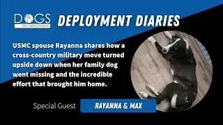 Deployment Diaries: Cross-Country Military Move Turns Chaotic When Family Dog Goes Missing