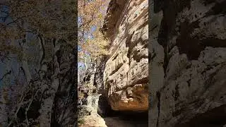 The start of the Rebman trail by Ferne Clyffe waterfall trail. Southern Illinois.