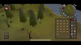 Day 1 of going (hoping) for my Beaver Pet in OSRS. 1 like = 1 cry 
