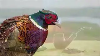 The Sporting Life Magazine - Travel, Luxury, Lifestyle & Conservation