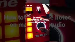 How to transpose notes on maschine studio #maschinestudio #maschine #maschinemk3 #maschineplus