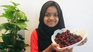 Cherry MilkShake | Healthy and Tasty MilkShake | Cherry Juice | BLOOPERS AT THE END| Misba 😍