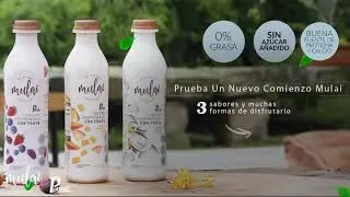 Yogurt Descremado con fruta MULAI