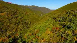 CATASTROFE ECOLOGICA TEBAIDA EL BIERZO . SAIDRON