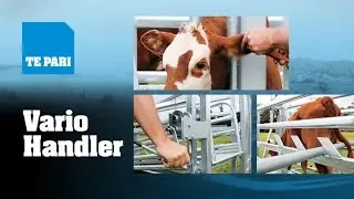 Te Pai Vario Stock Handling System