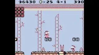 Super Mario Land: World 4-1 [1080 HD]