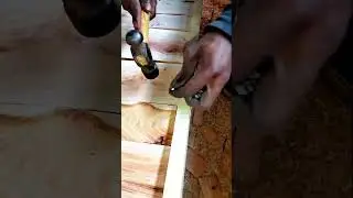 &ldquo;Satisfying Nail Hammering on a Wooden Stool 🪵🔨#woodworking #satisfying #oddlysatisfying #nailhammer