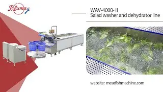 500-1000kg/h Washer and Spinner Dryer Line - For Lettuce / Leavy Greens / Salad / Cut Vegetable