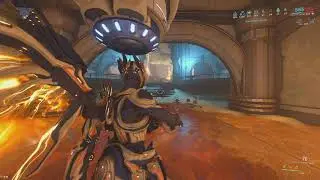 Damage Redirection Focused Trinity Builds