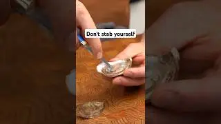 How to shuck oysters (safely)
