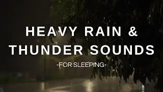 Heavy Rain & Thunderstorm Sounds  Immersive Rain & Thunder Soundscape for Peaceful Sleep 🌙🌩️