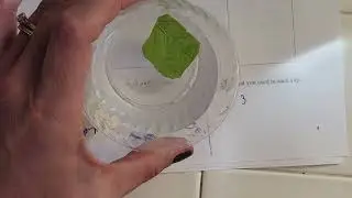 Lab 8 - Osmosis prelab (online)