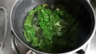 Ginger Mint and Lemon Tea