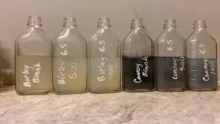 H2S removal test