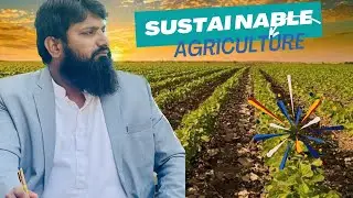 Sustainable Agriculture in Sindh | Farmer&rsquo;s Review | #sustainableagriculture