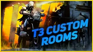 T3 CUSTOMS LIVE
