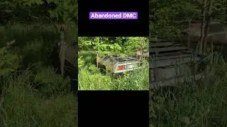 Abandoned DMC