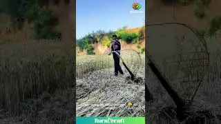 This Wheat-Eating MONSTER Tool is So Cool! 😂 