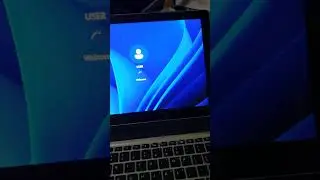install win 11 on HP Elite 1012 G2 tablet and computer