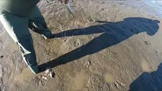 Harvesting Sand Shrimp Using A Pump